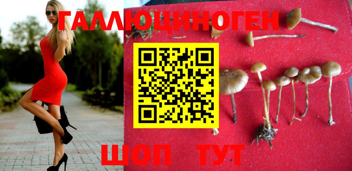 Галлюциногенные грибы мухоморы  Вход с VPN  Керчь 